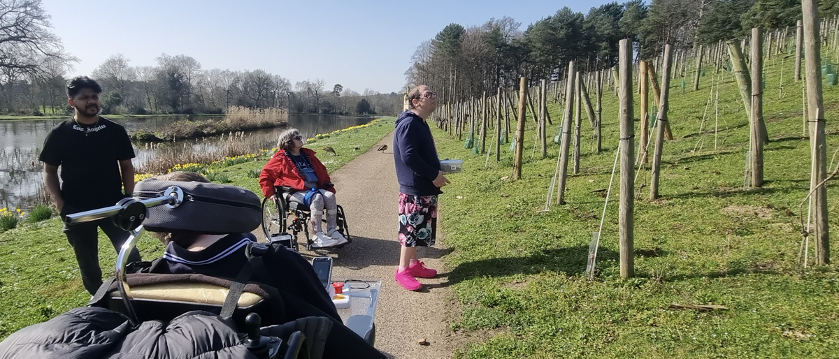 Watching a Red Kite at Painshill